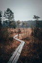 Beautiful pathway in the forest named Labanoras near the swamp. It is touristic path for walking travellers Royalty Free Stock Photo