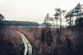 Beautiful pathway in the forest named Labanoras near the swamp. It is touristic path for walking travellers Royalty Free Stock Photo