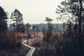 Beautiful pathway in the forest named Labanoras near the swamp. It is touristic path for walking travellers Royalty Free Stock Photo