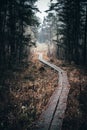 Beautiful pathway in the forest named Labanoras. It is touristic path for walking travellers Royalty Free Stock Photo