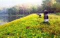 Beautiful pathway beside lake and flower with forest in the morning