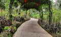 Beautiful pathway in Singapore botanical garden