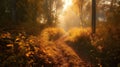 Beautiful pathway in to the deep nature forest in the autumn season. Tree and bush in the way Royalty Free Stock Photo