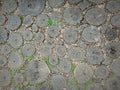 Beautiful pathway of wooden round logs in garden. Park woody walkway. Old wooden path in circles close up. Path of tree stumps