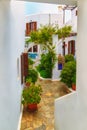 Beautiful patio in traditional Greek style, whitewashed walls and lush foliage in pots. Royalty Free Stock Photo