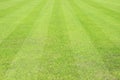 Beautiful pattern of fresh green grass for football sport