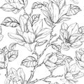 Beautiful pattern with magnolia flowers plants. Black and white