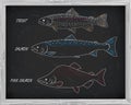 beautiful pattern of salmon, trout and pink salmon. With a drawing of white