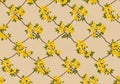 A beautiful pattern of yellow flowers on intertwined branches Royalty Free Stock Photo