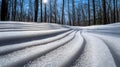 Winter Forest Snow Patterns in Sunlight Good Resolution Stock Photo Royalty Free Stock Photo