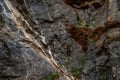 Beautiful patterns of granite on the mountains that erode naturally. Surface stone of the Mountain