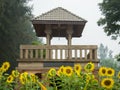 Beautiful Pavilion and sunflower field