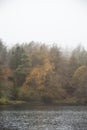 Beautiful mody Autumn Fall landscape of woodland and lake with mist fog during early morning Royalty Free Stock Photo