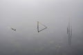 Beautiful peaceful fine art minimalist abatract Winter landscape image of reeds in Loughtrigg Tarn on misty morning with calm Royalty Free Stock Photo