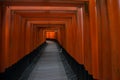 Beautiful and peaceful Fushimi Inari shrine near Kyoto, Japan.  Tunnel of red torii gates Royalty Free Stock Photo