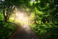 Beautiful peaceful Landscape; path in the old green park Royalty Free Stock Photo