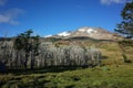 Beautiful peaceful mountain scenery, View of volcan Puyehue from camping at Refugio El Caulle in Puyehue National Park