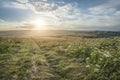 Beautiful peaceful sunset landscape image over English rolling c