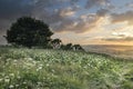 Beautiful peaceful sunset landscape image over English rolling countryside