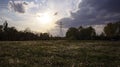 Storm clouds gathering over wonderful dandelion field at sunset Royalty Free Stock Photo