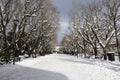 Bovino, Monti Dauni,Southern Italy, peaceful winter park scene under snow.