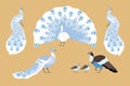 Beautiful peacock with amazing chic tail, cartoon vector set of peafowl bird family, exotic bird with ornamental feather