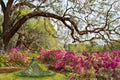 Beautiful Peacock in blooming garden. Royalty Free Stock Photo