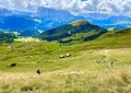 Beautiful peaks around Seceda in the Italian Dolomites mountains