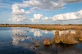 Beautiful peat landscape with the name `Amsterdamsche Veld