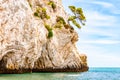 Beautiful pebble beach surrounded by high massive white limestone rocky cliffs eroded by Adriatic sea waves and wind. Green Aleppo Royalty Free Stock Photo