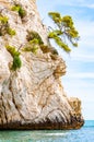 Beautiful pebble beach surrounded by high massive white limestone rocky cliffs eroded by Adriatic sea waves and wind. Green Aleppo Royalty Free Stock Photo