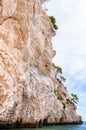 Beautiful pebble beach surrounded by high massive white limestone rocky cliffs eroded by Adriatic sea waves and wind. Green Aleppo Royalty Free Stock Photo