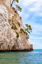 Beautiful pebble beach surrounded by high massive white limestone rocky cliffs eroded by Adriatic sea waves and wind. Green Aleppo Royalty Free Stock Photo