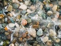 Water washin color stones Royalty Free Stock Photo