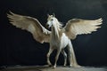 Beautiful Pegasus on black background Royalty Free Stock Photo