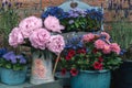 Beautiful peonies flowers in vase