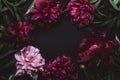 Beautiful peonies frame in dark colors. Black Floral background. Festive flowers concept. Soft focus, copy space