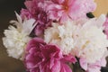 Beautiful peony bouquet in sunny light in room. Pink and white peonies flowers petals close up Royalty Free Stock Photo