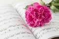 Beautiful peony flower lying on open music book. Summer romantic card. Music still life. Sheet music book background with copy Royalty Free Stock Photo