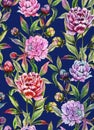 Beautiful peony flowers with buds and leaves in straight lines on deep blue background. Seamless floral pattern. Royalty Free Stock Photo