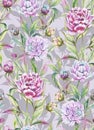 Beautiful peony flowers with buds and leaves in straight lines on light gray background. Seamless floral pattern. Royalty Free Stock Photo