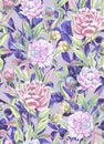 Beautiful peony flowers with buds and leaves in straight lines with purple outlines on light background. Seamless floral pattern. Royalty Free Stock Photo