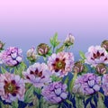 Beautiful peony flowers leaves on blue and pink gradient background. Seamless floral pattern, border. Watercolor painting. Royalty Free Stock Photo