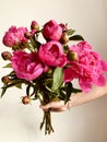Beautiful peony pink in the hand on a beige background