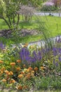 A beautiful perenial garden with Salvia and grass.