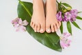 Beautiful perfect female skin legs feet top view with tropical flowers and green palm leaf. Nail polish, care and clean, spa Royalty Free Stock Photo
