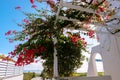 Beautiful pergola and path leading to the beach in Larnaca. Sunny day in January Royalty Free Stock Photo