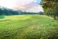 Beautiful perspective landscape of green environment park and sm