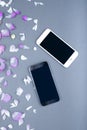 Beautiful petals of rose and white flowers with two smartphones on gray backgraund. Greeting card for Valentines or Royalty Free Stock Photo