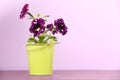 Beautiful petunia flowers in green pot on wooden table against violet background. Space for text Royalty Free Stock Photo